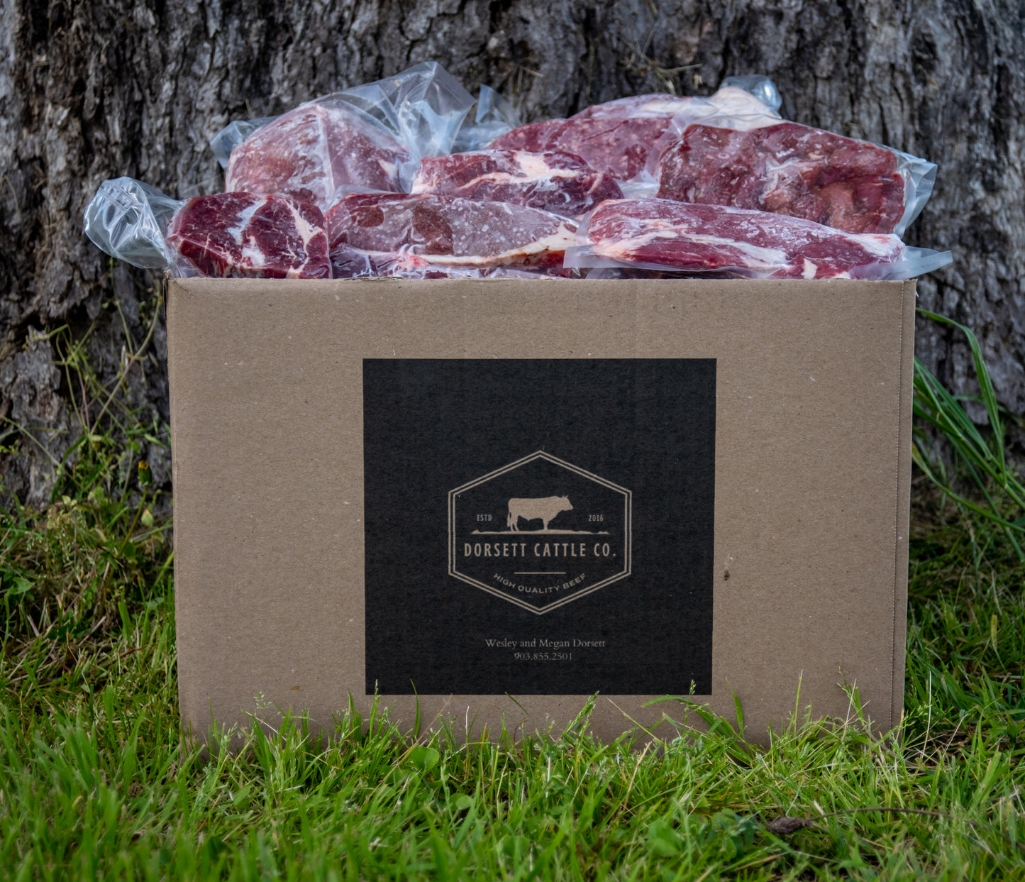 Sample box with ribs