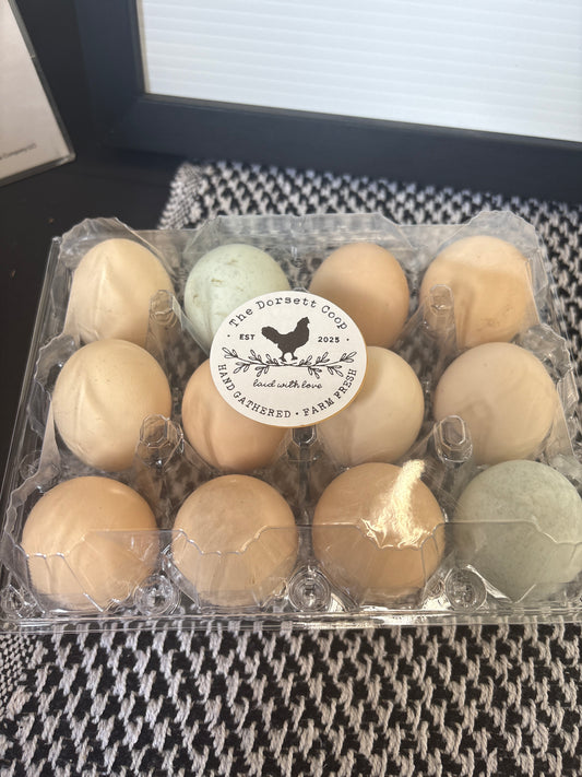Eggs